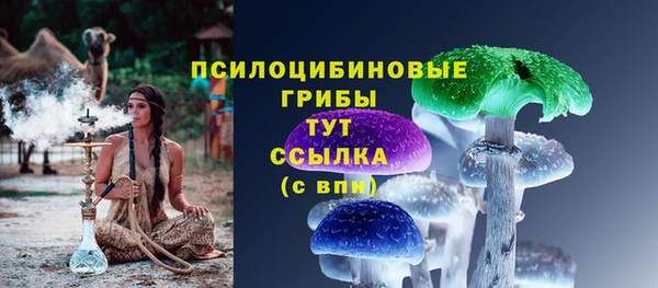 тгк Армянск