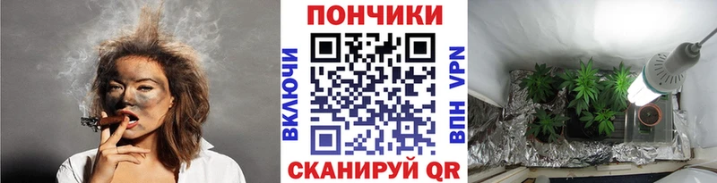 Каннабис план Сольвычегодск